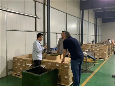 לקוחות קבועים ברזילאים מגיעים לבקר את החברה שלנו